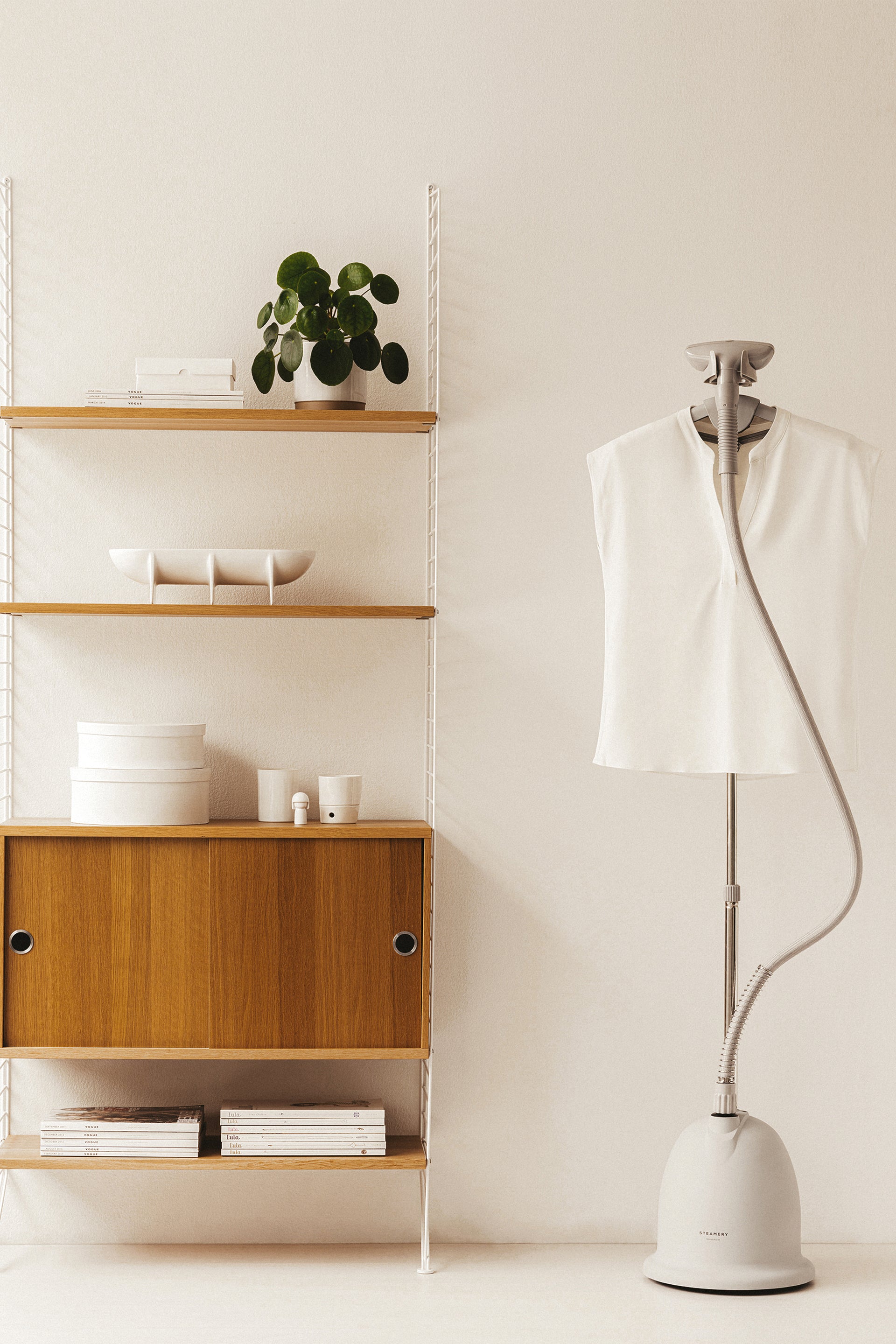 Modern interior with wooden shelves, a plant, and a grey floor steamer.