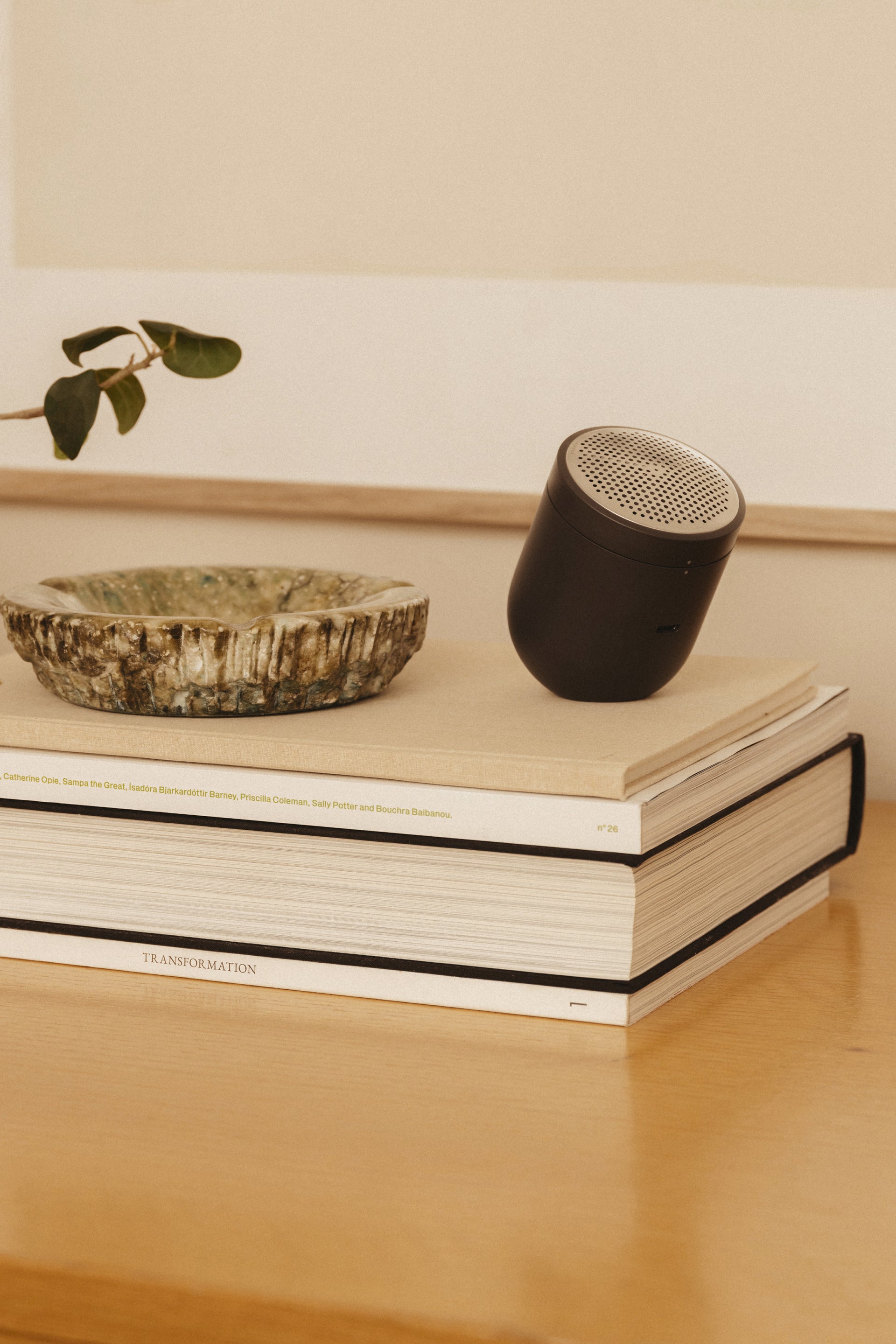 black fabric shaver on a stack of books with a neutral background